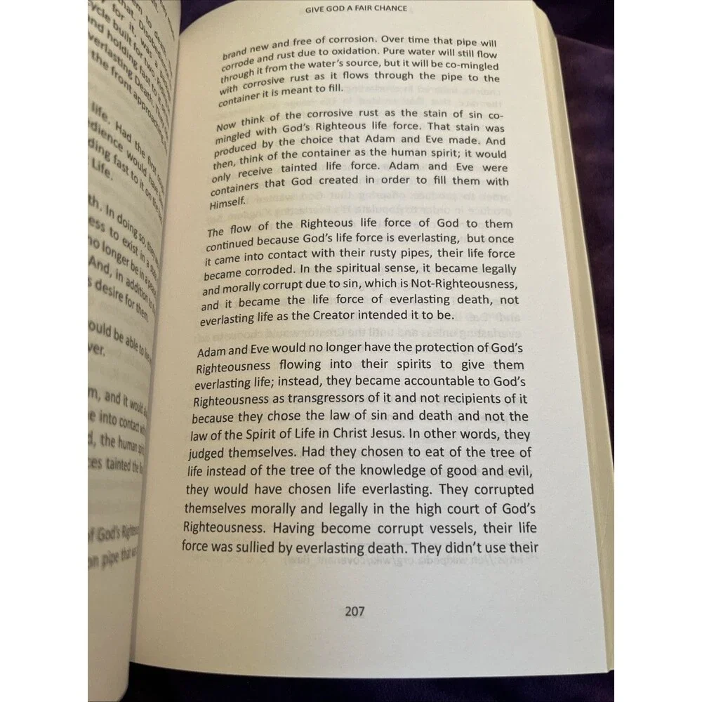 Give God A Fair Chance by Deborah Castille Shelton Paperback Book